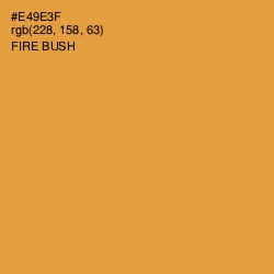 #E49E3F - Fire Bush Color Image